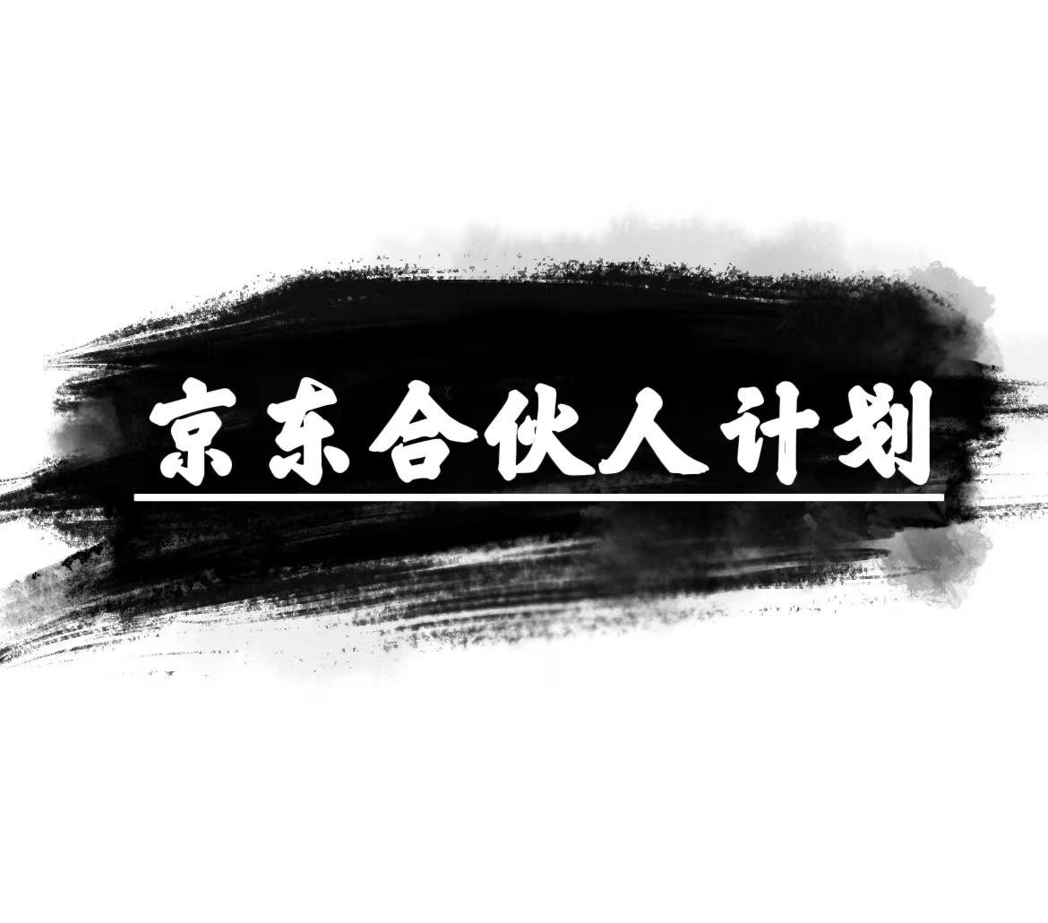 京东合伙人计划，轻松月入过万，赚钱项目，只需复制粘贴，小白也能做。-天韵资源网
