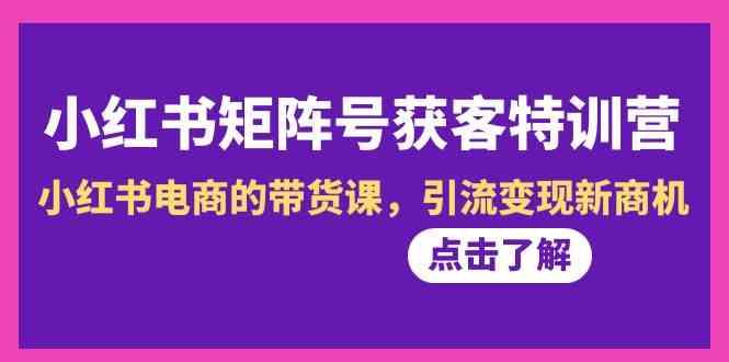 小红书矩阵号获客特训营-第10期，小红书电商的带货课，引流变现新商机-天韵资源网