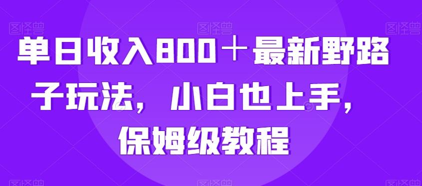 单日收入800＋最新野路子玩法，小白也上手，保姆级教程-天韵资源网