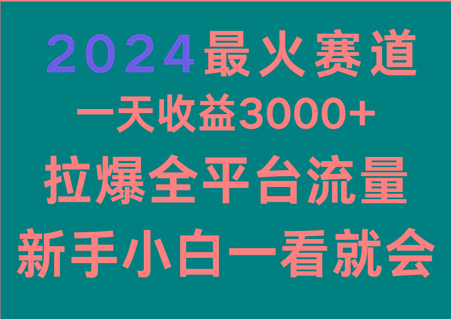 2024最火赛道，一天收一3000+.拉爆全平台流量，新手小白一看就会-天韵资源网