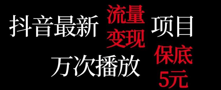 抖音流量变现，万次播放保底5元，额外收入-天韵资源网