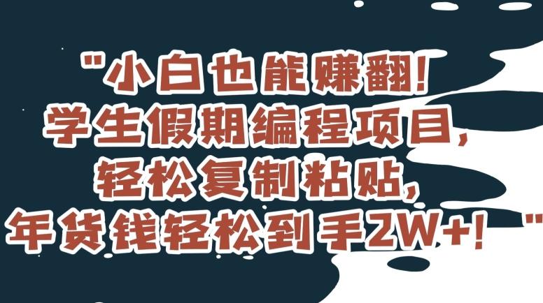 小白也能赚翻！学生假期编程项目，轻松复制粘贴，年货钱轻松到手2W+【揭秘】-天韵资源网