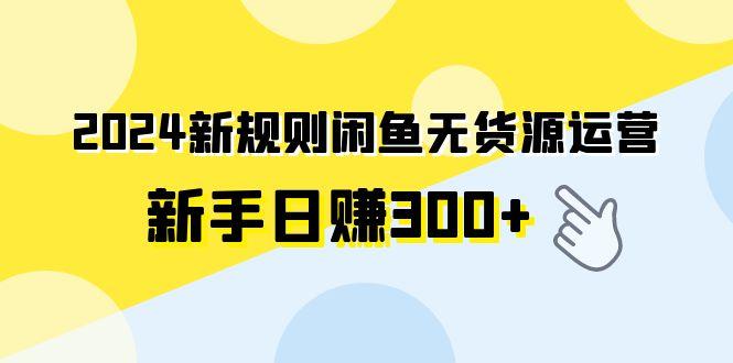 (9522期)2024新规则闲鱼无货源运营新手日赚300+-天韵资源网