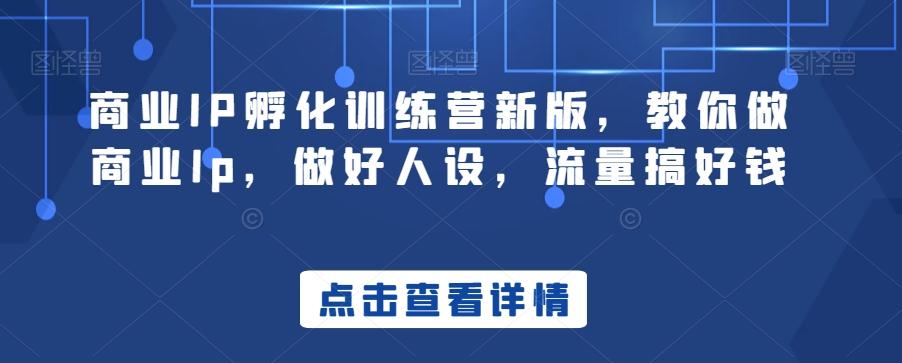 商业IP孵化训练营新版，教你做商业Ip，做好人设，流量搞好钱-天韵资源网