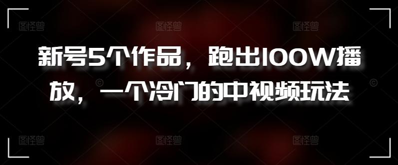 新号5个作品，跑出100W播放，一个冷门的中视频玩法【揭秘】-天韵资源网