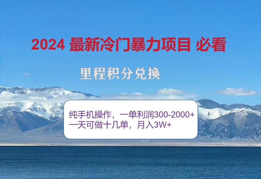 2024惊爆冷门暴利，里程积分最新玩法，高爆发期，一单300+—2000+-天韵资源网