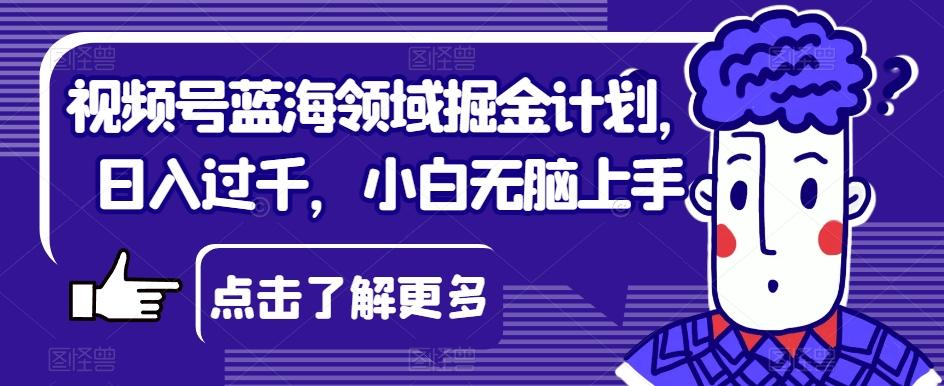视频号蓝海领域掘金计划，日入过千，小白无脑上手【揭秘】-天韵资源网
