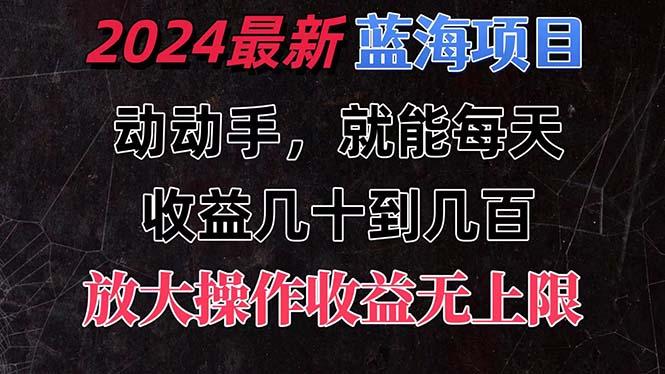 有手就行的2024全新蓝海项目，每天1小时收益几十到几百，可放大操作收…-天韵资源网