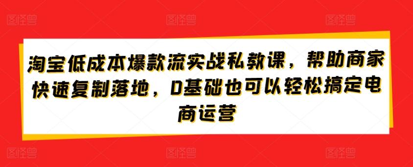 淘宝低成本爆款流实战私教课，帮助商家快速复制落地，0基础也可以轻松搞定电商运营-天韵资源网