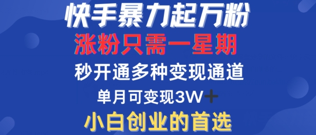 快手暴力起万粉，涨粉只需一星期，多种变现模式，直接秒开万合，单月变现过W【揭秘】-天韵资源网