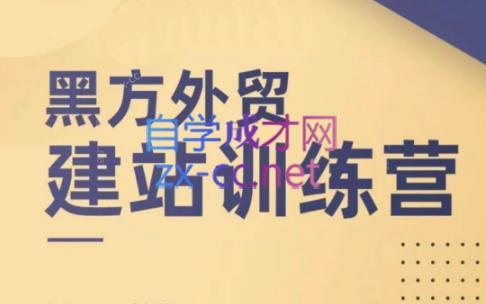 黑方老师·谷歌B端独立站建站推广-天韵资源网