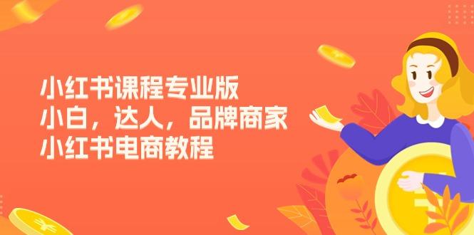 小红书课程专业版，小白，达人，品牌商家，小红书电商教程(15节-天韵资源网