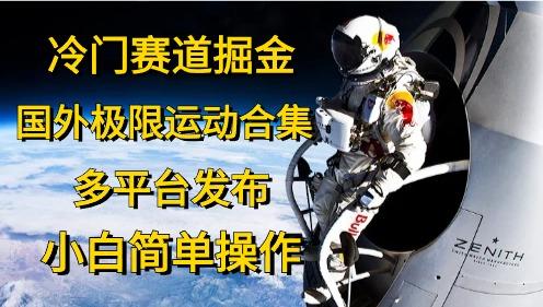 冷门赛道掘金，国外极限运动视频合集，多平台发布，小白简单操作-天韵资源网