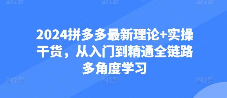 2024拼多多最新理论+实操干货，从入门到精通全链路多角度学习-天韵资源网