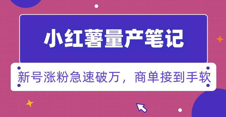小红书量产笔记，一分种一条笔记，新号涨粉急速破万，新黑马赛道，商单接到手软【揭秘】-天韵资源网