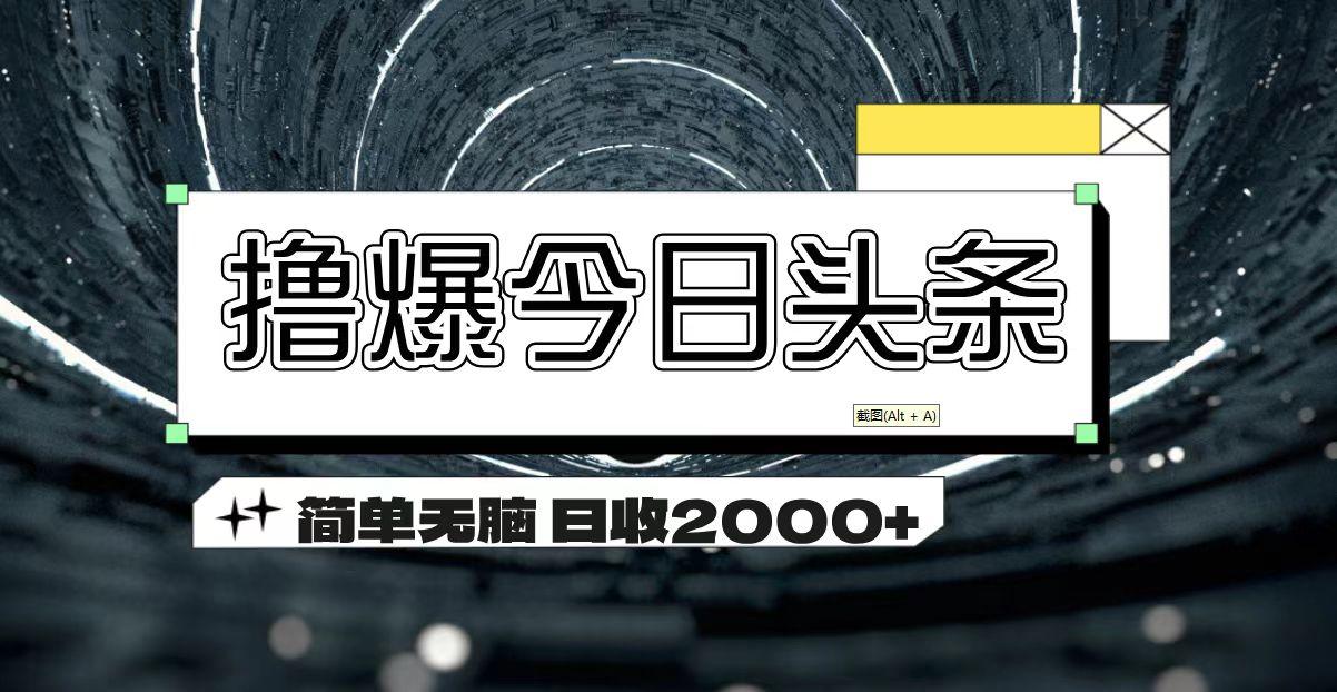 撸爆今日头条 简单无脑操作 日收2000+-天韵资源网