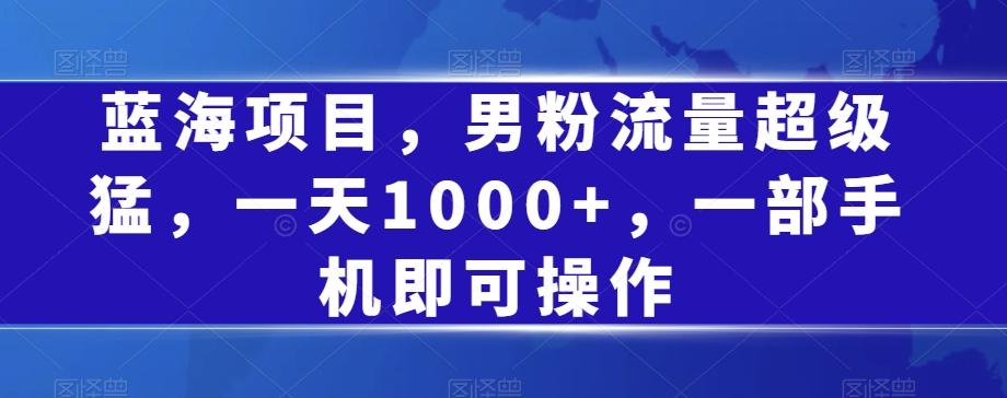 蓝海项目，男粉流量超级猛，一天1000+，一部手机即可操作【揭秘】-天韵资源网