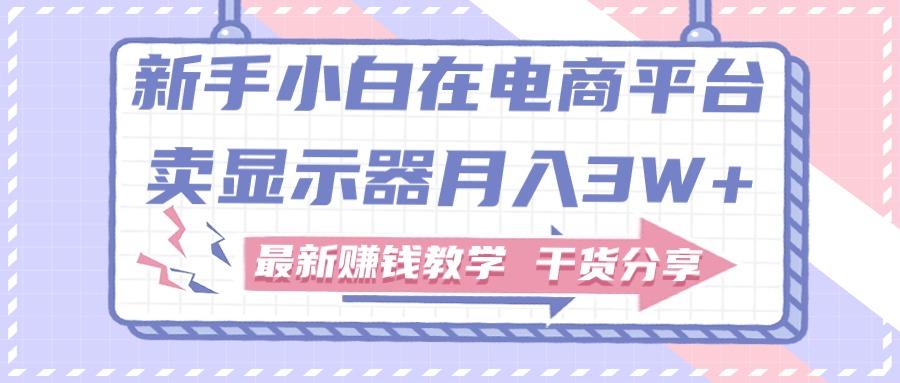 新手小白如何做到在电商平台卖显示器月入3W+，最新赚钱教学干货分享-天韵资源网