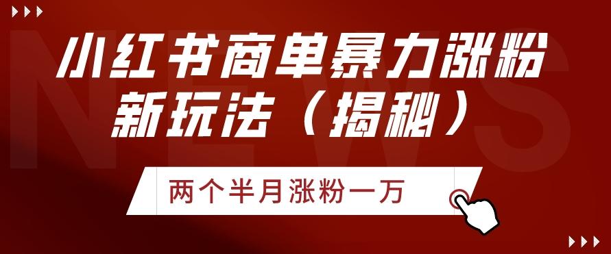 小红书商单暴力涨粉新玩法两个半月涨粉一万（揭秘）-天韵资源网