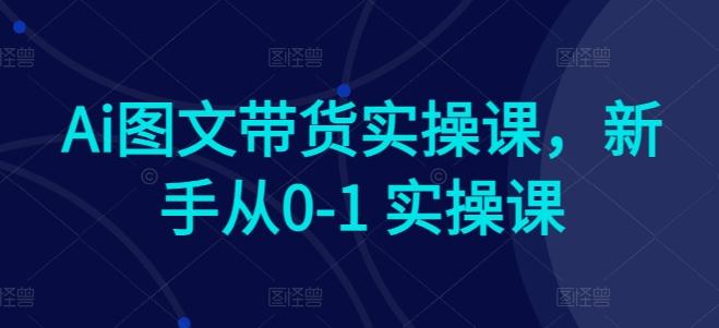 Ai图文带货实操课，新手从0-1 实操课-天韵资源网