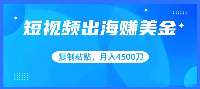 短视频出海赚美金，复制粘贴批量操作，小白轻松掌握，月入4500美刀【揭秘】-天韵资源网