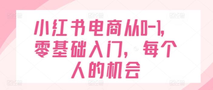 小红书电商从0-1，零基础入门，每个人的机会-天韵资源网