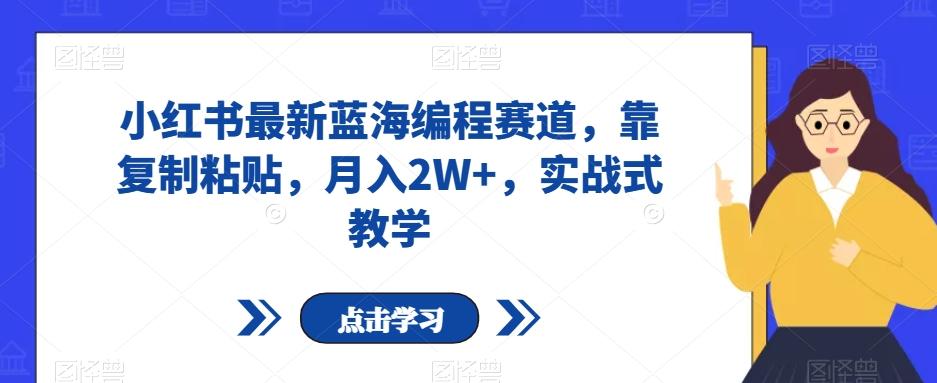 小红书最新蓝海编程赛道，靠复制粘贴，月入2W+，实战式教学【揭秘】-天韵资源网
