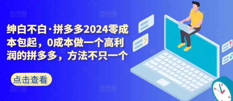 拼多多2024零成本包起，0成本做一个高利润的拼多多，方法不只一个-天韵资源网