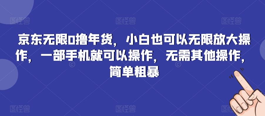 京东无限0撸年货，小白也可以无限放大操作，一部手机就可以操作，无需其他操作，简单粗暴-天韵资源网