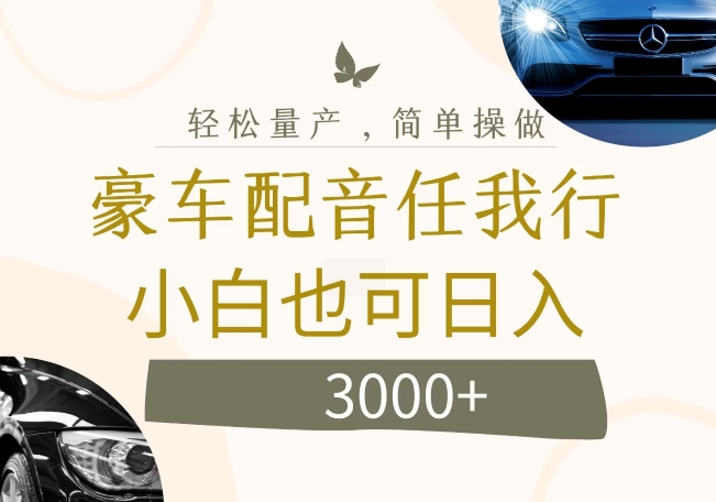 不为人知的暴力小项目，豪车配音，日入几张【揭秘】-天韵资源网