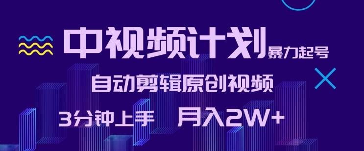 中视频计划暴力起号，自动剪辑原创视频，3分钟上手，月入2W+【揭秘】-天韵资源网