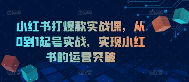 小红书打爆款实战课，从0到1起号实战，实现小红书的运营突破-天韵资源网