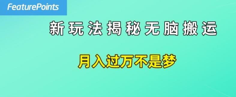 简单操作，每天50美元收入，搬运就是赚钱的秘诀【揭秘】-天韵资源网