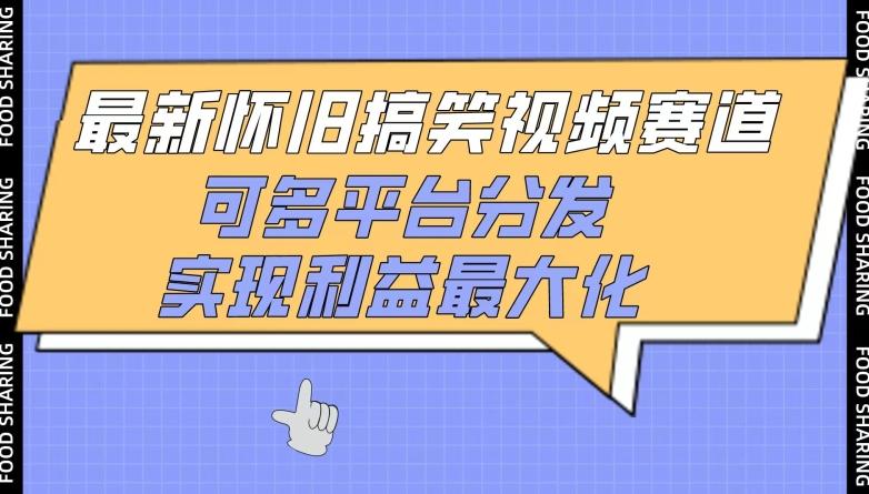 最新怀旧搞笑视频赛道，可多平台分发，实现利益最大化【揭秘】-天韵资源网