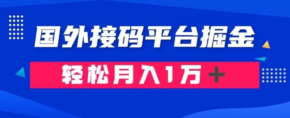 通过国外接码平台掘金：成本1.3，利润10＋，轻松月入1万＋【揭秘】-天韵资源网