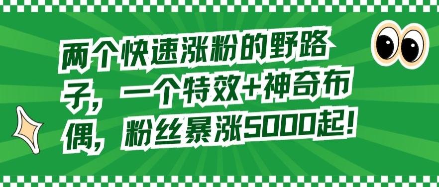 两个快速涨粉的野路子，一个特效+神奇布偶，粉丝暴涨5000起【揭秘】-天韵资源网