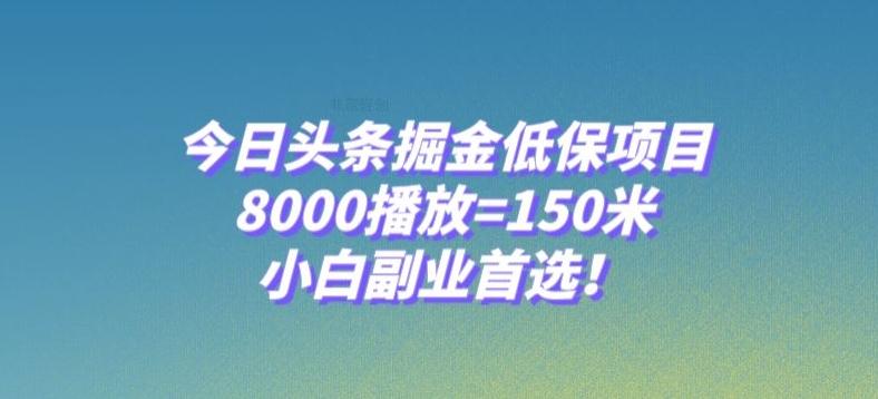 今日头条掘金低保项目，8000播放=150米，小白副业首选【揭秘】-天韵资源网