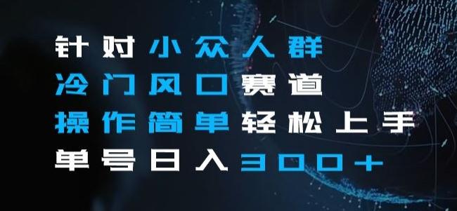 针对小众人群冷门风口赛道，操作简单轻松上手单号日入300+-天韵资源网