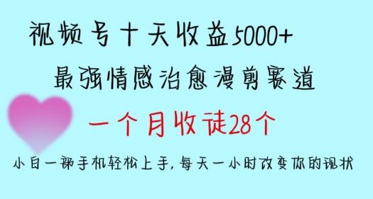 十天收益5000+，多平台捞金，视频号情感治愈漫剪，一个月收徒28个，小白一部手机轻松上手【揭秘】-天韵资源网