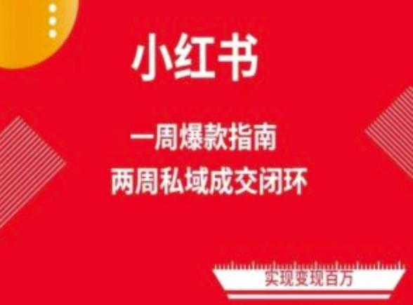 爆款小红书免费流量体系课程(两周变现)，小红书电商教程-天韵资源网
