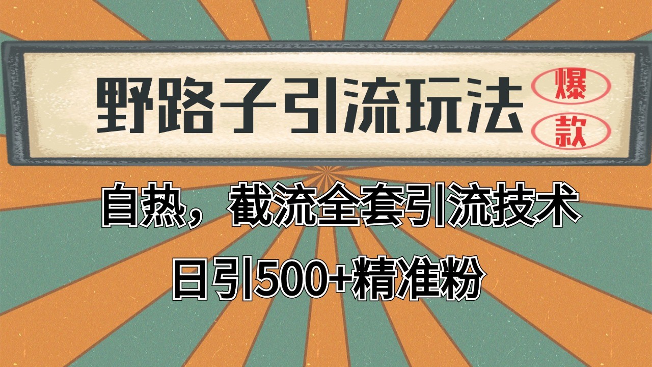 抖音小红书视频号全平台引流打法，全自动引流日引2000+精准客户-天韵资源网