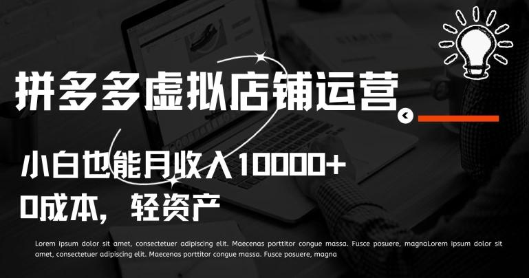 拼多多虚拟店铺运营小白也能月收入10000+【揭秘】-天韵资源网