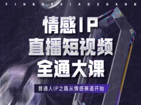 情感IP直播短视频全通大课，普通人IP之路从情感赛道开始-天韵资源网