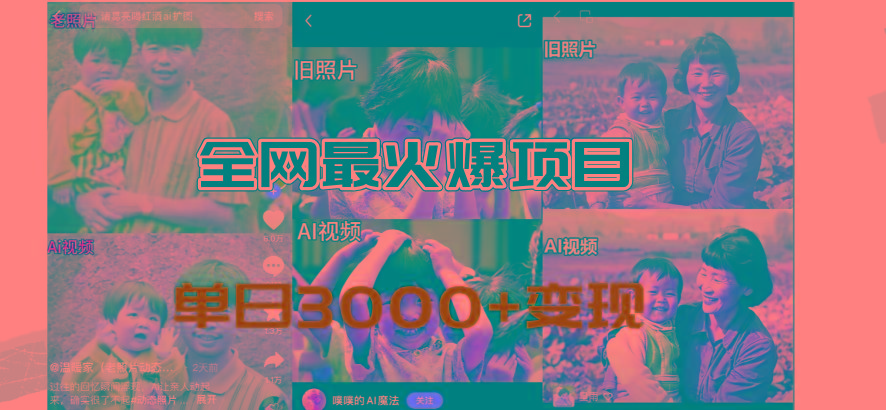 全网爆火的AI让老照片动起来教程，蹭热点日赚3000+，内含免费工具一键…-天韵资源网