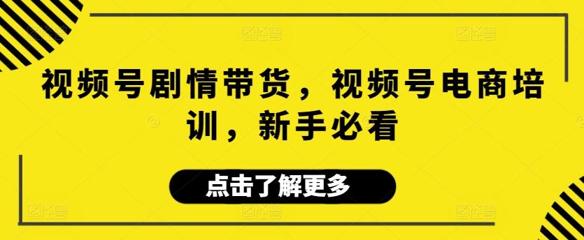 视频号剧情带货，视频号电商培训，新手必看-天韵资源网