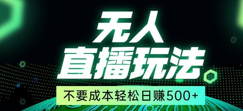 全网首发24年最新无人直播玩法，不需要成本，无需人力，一台电脑24小时为你工作-天韵资源网