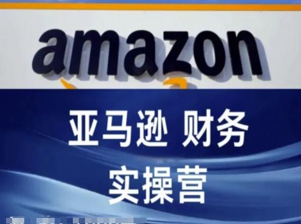 亚马逊财务核算实操营-亚马逊跨境电商教程-天韵资源网