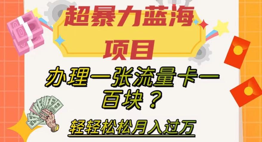 超暴力蓝海项目，办理一张流量卡一百块？轻轻松松月入过万，保姆级教程【揭秘】-天韵资源网