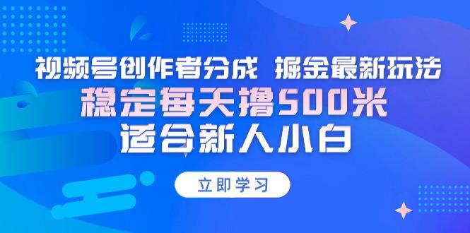 【蓝海项目】视频号创作者分成 掘金最新玩法 稳定每天撸500米 适合新人小白-天韵资源网