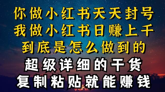 都知道小红书能引流私域变现，可为什么我能一天引流几十人变现上千，但你却频频封号违规被限流【揭秘】-天韵资源网